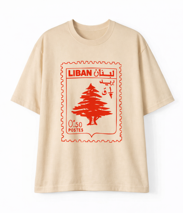 STW(D) Women Oversized T-shirt